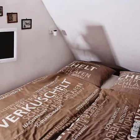 Comfortable Holiday